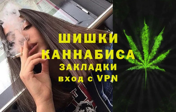 гидра Медногорск