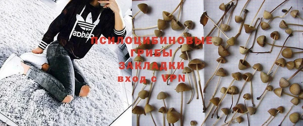 прущие крисы Мегион