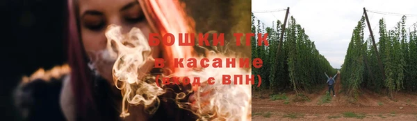 прущие крисы Мегион