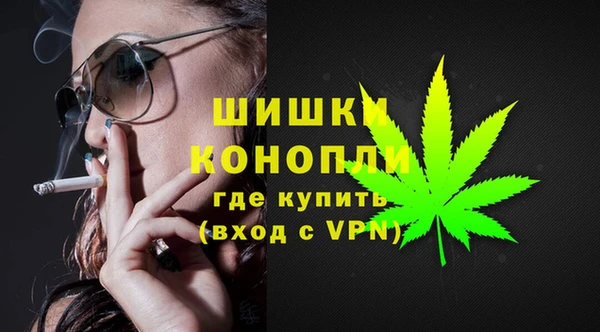 прущие крисы Мегион