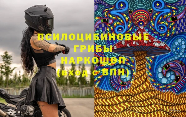 прущие крисы Мегион