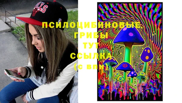 гидра Медногорск